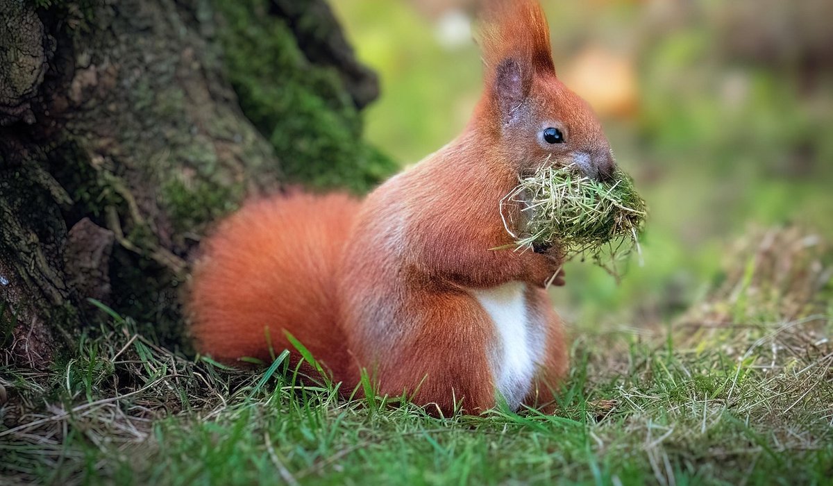 blog single post